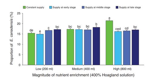 揭示資源脈沖對(duì)植物入侵影響機(jī)制，武漢植物園研究獲新進(jìn)展